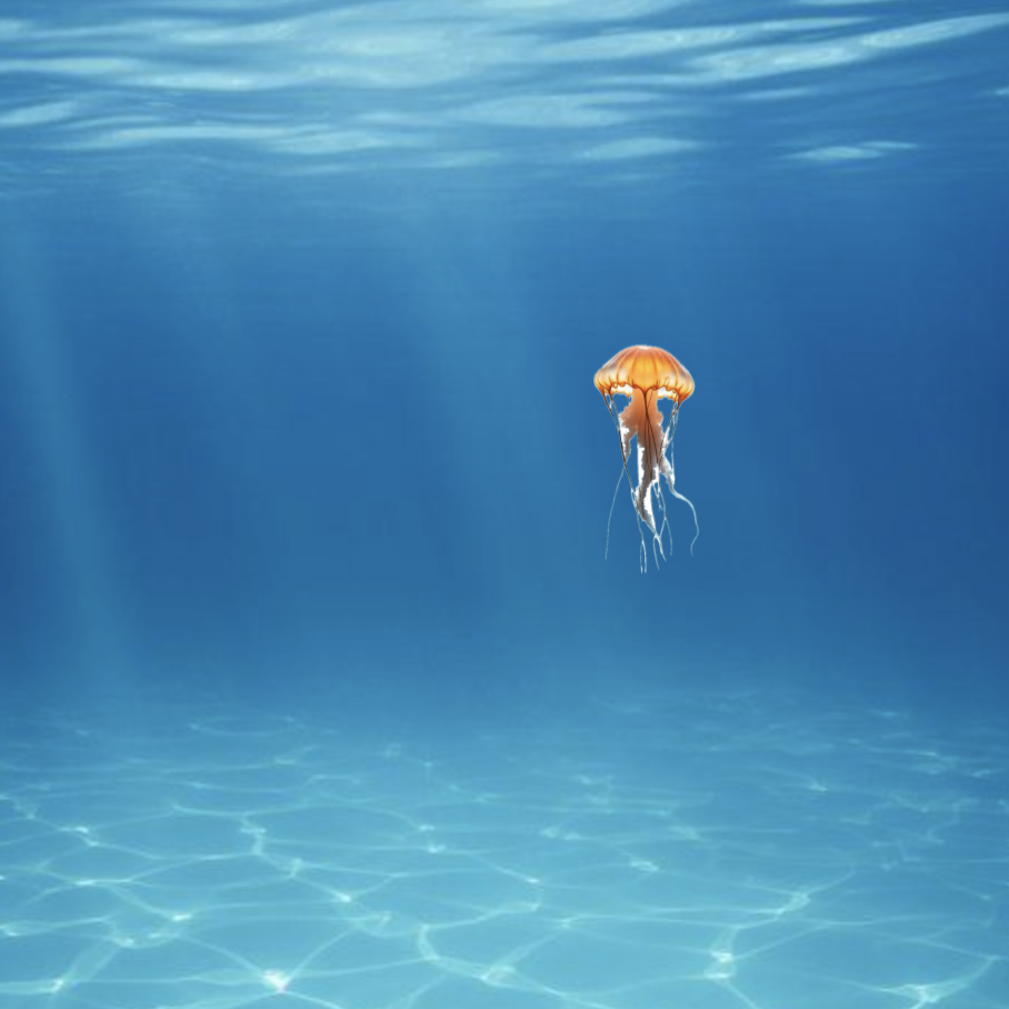 Jellyfish charcater swimming around the ocean controlled by the Makey Makey and/or the keyboard arrows. <a href='https://youtube.com/shorts/jNv2qSgmGrE?feature=share' target='_blank'><p>Experimentation video link</p></a>